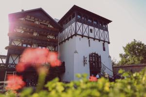 ein großes weißes Gebäude mit schwarzem Dach in der Unterkunft Vila Alsace Podu' cu Lanturi in Bacău