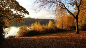 un chemin à côté d'un lac dans un parc dans l'établissement Glück Auf! Urlaub und Erholung in Duisburg, à Duisbourg