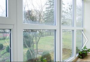 a group of windows with a view of a yard at Du draugai 1 in Druskininkai