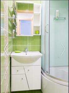 a bathroom with a sink and a shower at Du draugai 1 in Druskininkai