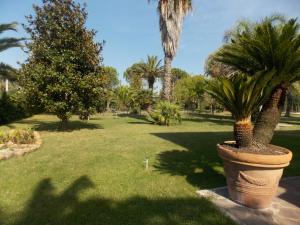 Zahrada ubytování Hotel Villa dei Butteri - Aprilia