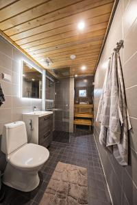 a bathroom with a toilet and a sink at UnelmaKaukelo in Ruka