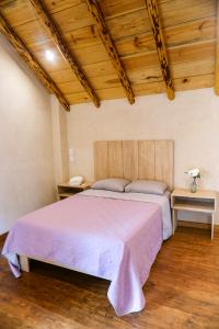 Gallery image of Kotantik bed & breakfast in San Crist&oacute;bal de Las Casas