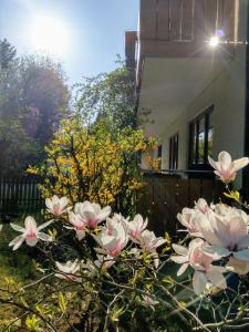 Zahrada ubytování Hotel am Wald