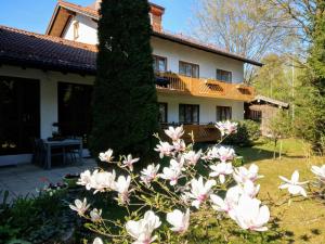 Zahrada ubytování Hotel am Wald
