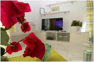 TV a/nebo společenská místnost v ubytování Apartment Katarina and house Marieta