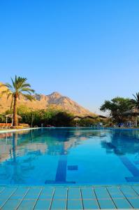 a large swimming pool with a mountain in the background at Ein Gedi Family Apartment in Ein Gedi