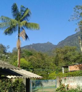 una palmera con montañas en el fondo en Chalé saí azul en Penedo
