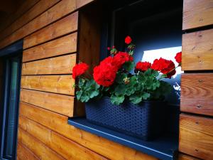 Fotografie z fotogalerie ubytování Appartements Onyx ve Flattachu