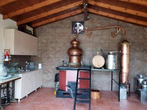 a kitchen with a counter and a stove in a room at Pallas Casa in Panagía