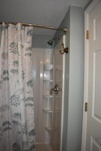 La salle de bains est pourvue d'une douche avec rideau de douche. dans l'établissement Cozy 2 Bedroom House, à Adrian