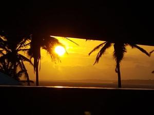 um pôr do sol na praia com duas palmeiras em Hotel Pousada Farol da Praia em São Luís