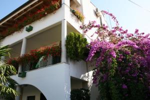 Zahrada ubytování Apartments Šorić