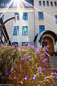 a plant with purple flowers in front of a building at DS Cztery Pory Roku in Gdańsk