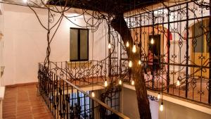 Gallery image of Agrado Guest House in Oaxaca City +99 photos