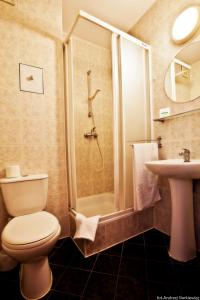 格但斯克的住宿－DS捷特里波里羅庫酒店，浴室配有卫生间、淋浴和盥洗盆。