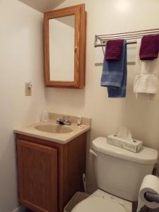 bagno con servizi igienici, lavandino e specchio di Bayside Inn & Marina a Cooperstown