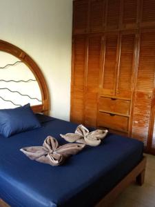 Fotografie z fotogalerie ubytování Appart depa CENTER v destinaci Playa del Carmen