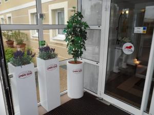 Gambar di galeri bagi Hotel Lyon Sud, Pierre Benite, St Genis Laval di Pierre-Bénite