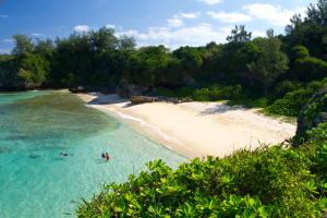 zwei Personen schwimmen im Wasser am Strand in der Unterkunft Akachichi Guesthouse in Onna