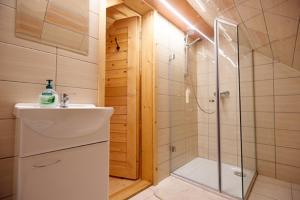 a bathroom with a shower and a sink at Glamping Lake Bloke in Nova Vas