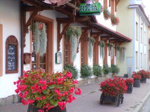 a street with flowers in front of a building at Penzion Restaurace u Helferů in Libuň
