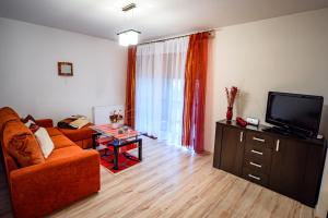 sala de estar con sofá y TV en Apartamenty Sun & Snow Kraszewskiego, en Krynica-Zdrój