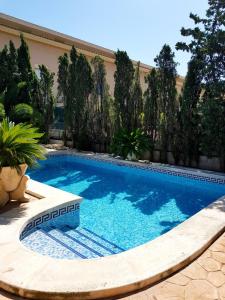 a swimming pool in the middle of a yard at Mi Refugio in Alicante