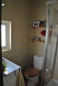 uma casa de banho com um WC, um lavatório e um chuveiro em Casa típica alentejana em Alpalhão
