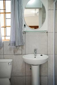 a bathroom with a sink and a mirror and a toilet at 870 on Riverview Drive in Mtubatuba