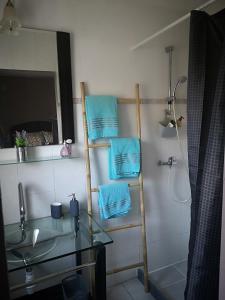 ein Badezimmer mit einem Waschbecken und einem Handtuchhalter mit Handtüchern in der Unterkunft la Maison de Lilly in Pierry + 25 Fotos