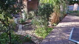 een tuin met een aantal planten en een stoep bij Ferienwohnung Birkenwerder bei Berlin mit Terrasse und kleinem Garten in Birkenwerder