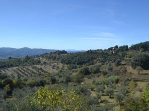 a view of a hill with trees and a house at Belvilla by OYO Cipresso in Pelago