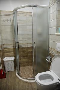 uma casa de banho com um chuveiro e um WC. em Alindro City Center Apartment em Tirana