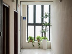 Fotografie z fotogalerie ubytování Rainbow Hotel v destinaci Magong
