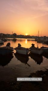 バーリにあるCasa verdeの夕日の水中に座る船