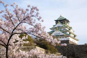 Gallery image of Olina's House in Osaka