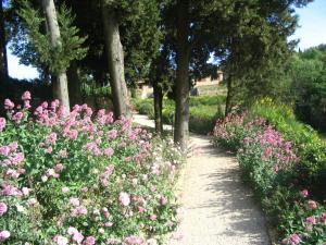 Aed väljaspool majutusasutust Podere La Casetta - Casa di Campagna