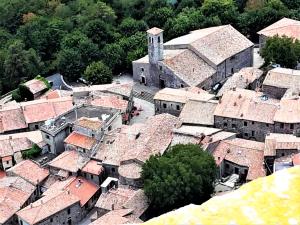 an aerial view of a village with roofs at IL MORO 5 in Radicofani