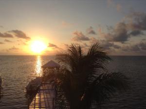 a dock with a palm tree in front of a sunset at Haynes Cay View in San Andrés