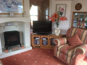 a living room with a fireplace and a television at Golden palm resort skegness in Chapel Saint Leonards