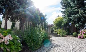 a garden with flowers and plants on a sidewalk at Villa Jaśmin in Zielona Góra
