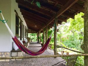 Zahrada ubytování Hotel Hacienda San Lucas