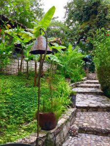 Zahrada ubytování Hotel Hacienda San Lucas