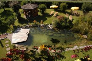 an aerial view of a pond in a garden at Hotel-Garni Almhof in Mayrhofen