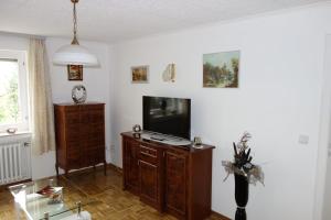 sala de estar con TV de pantalla plana en la pared en Apartment Werner, en Niederbachem