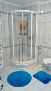 baño con ducha y 2 alfombras azules en Schwarzwald Appartment en Freudenstadt