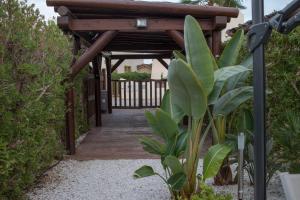Vonkajšia záhrada v ubytovaní Villa La Caleta