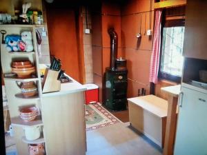 a small kitchen with a stove in a room at Chalet Kanja Velika Planina in Stahovica