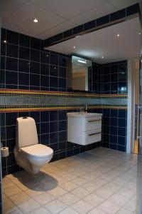 La salle de bains est pourvue de toilettes, d'un lavabo et d'un miroir. dans l'établissement Lannavaara Lodge, à Lannavaara